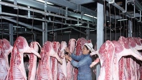 Bộ Công thương lập danh sách các giải pháp giải cứu đàn lợn tồn trong dân