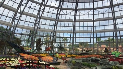 Vinpearl Land mở cửa Đồi Vạn Hoa - công viên thực vật độc đáo nhất Việt Nam