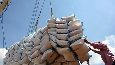 Vì sao ông lớn gạo Việt Nam lỗ nặng nề?