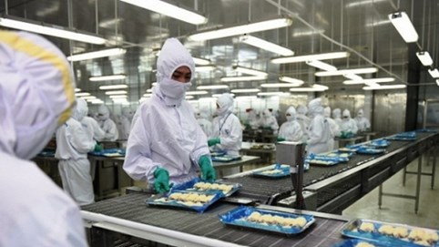 The PAN Group: Doanh thu 6 tháng đầu năm đạt 3.313 tỷ đồng, giảm 6% so với cùng kỳ 2018