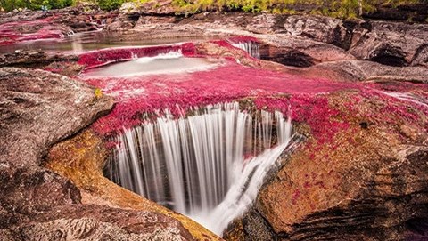 Kỳ lạ dòng sông xanh, đỏ sặc sỡ nhất thế giới ở Colombia