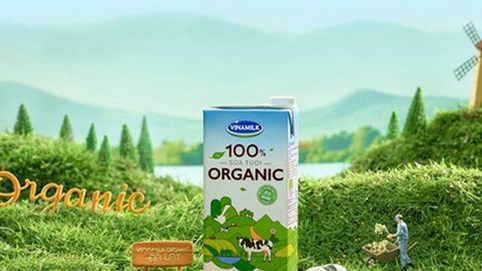 Vinamilk đạt doanh thu cao nhất lịch sử, lợi nhuận quý 2 hơn 2.900 tỷ đồng