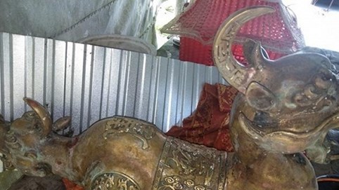 Nóng trong tuần: Sự thật việc phát hiện tượng quái thú hai đầu vớt lên từ cửa biển Cà Mau