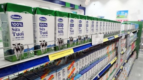 Giữa nghi ngại thị trường bão hòa, nhiều công ty sữa phát tín hiệu kinh doanh khả quan