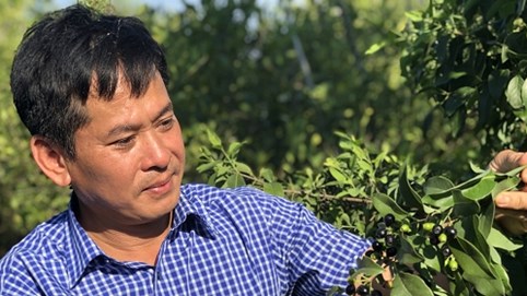 Anh Nguyễn Quang Tòa: Từ 