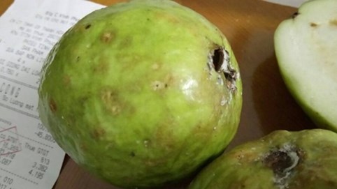 Big C Vĩnh Phúc bán hàng kém chất lượng