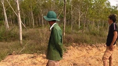 Bình Phước: Khốn khổ vì dính tranh chấp hợp đồng miệng