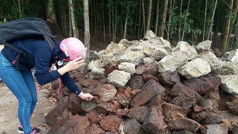 Đồng Nai: Hàng ngàn tấn chất thải đổ trộm giữa rừng tràm