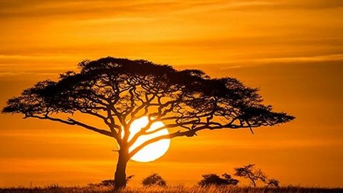 Rằm tháng bảy cúng cô hồn, nghĩ về lẽ tử sinh