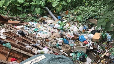 Hồ Linh Quang biến thành “hồ rác” giữa lòng Hà Nội