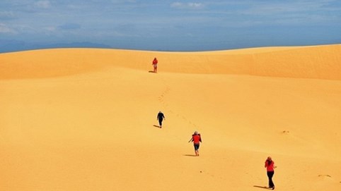 Cơn sốt du lịch Ninh Thuận Tết Kỷ Hợi: Nhiều khách sạn 'cháy' phòng