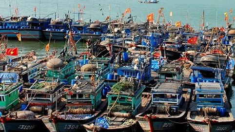 Đà Nẵng: Giám đốc Sở giáo dục có thể cho học sinh nghỉ và học bù sau áp thấp nhiệt đới