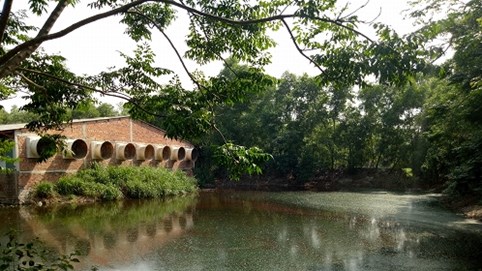 Đà Nẵng: Hàng trăm hộ dân khốn khổ vì trại heo gây ô nhiễm