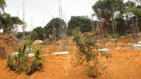 Đà Nẵng phúc đáp công văn của Thủ tướng về xây dựng Sơn Trà