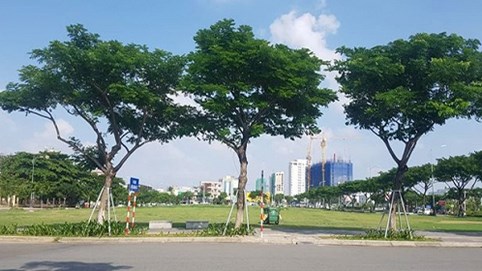 Đà Nẵng rút lại đề nghị thu hồi đất đối với 81 dự án