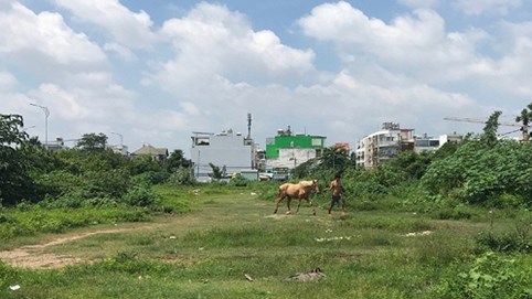 Đất quy hoạch tái định cư bị rao bán nền trái phép