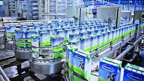 Đấu thầu công khai 