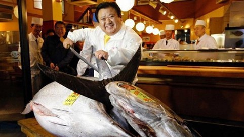 Đây là lý do tại sao con cá ngừ vây xanh này được bán với giá trên trời 1,8 triệu USD