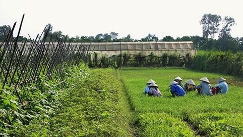 Báo nước ngoài nói về nỗ lực 