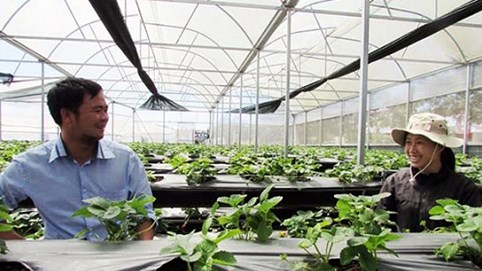 Nông nghiệp công nghệ cao: Để doanh nghiệp không “bỏ của chạy lấy người”