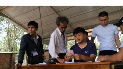 Độc quyền Doanhnhan.vn: Lộ diện những kẻ “điều hành” trường gà lớn nhất Kon Tum