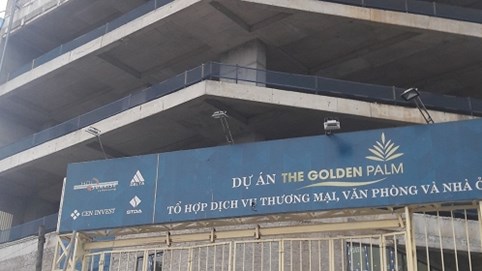 Dự án The Golden Palm: Nảy 