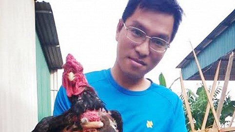 Đưa giống gà “quý tộc” về vùng đất cằn nắng gió