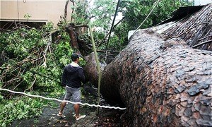 Đường đi lắt léo và hậu quả của bão Usagi