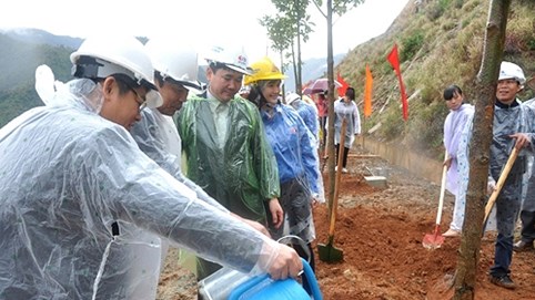 EVN làm thủy điện không quên trồng rừng