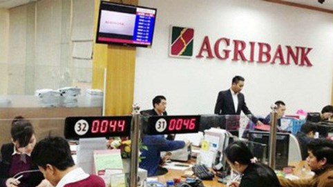 Chuẩn bị cổ phần hóa, Agribank báo lãi đột biến 8.200 tỷ đồng 7 tháng đầu năm 2019
