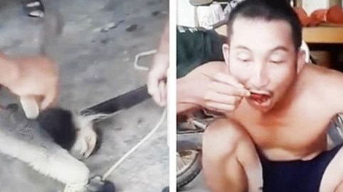 Khởi tố 6 đối tượng trong vụ livestream cảnh giết Voọc trên facebook