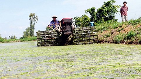 GDP hằng năm của Việt Nam giảm 0,6% do thiên tai, ô nhiễm