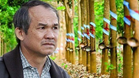 Giá cao su bật tăng 