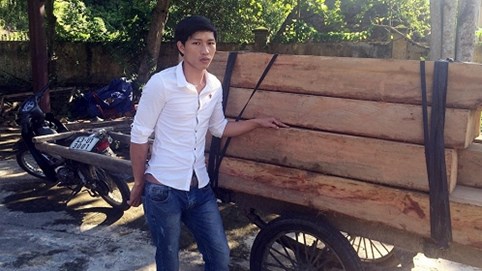 Lợi dụng đêm tối chở gỗ lậu vẫn không thoát