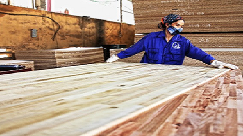 Dự án FDI từ Trung Quốc tăng nhanh: Doanh nghiệp ngành gỗ mừng ít, lo nhiều…