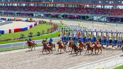 Hà Nội dự kiến mỗi năm thu 250 triệu USD thuế từ trường đua ngựa