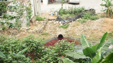 Hé lộ nguyên nhân ô nhiễm tại Cụm công nghiệp Di Trạch