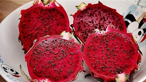 Hơn nửa triệu đồng một trái thanh long ruột đỏ Đài Loan