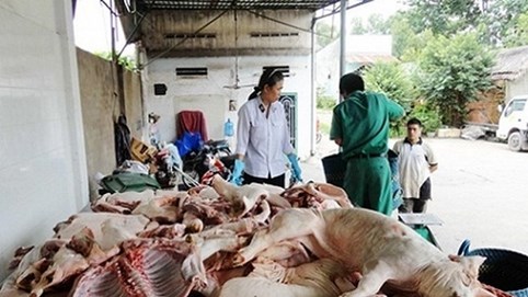 Kinh doanh thực phẩm bẩn: Lương tâm và đồng tiền