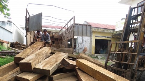 Kon Tum: Bắt giữ 15 khối gỗ không rõ nguồn gốc
