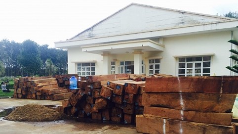 Kon Tum: Bắt giữ 2 xe gỗ khủng sau khi 