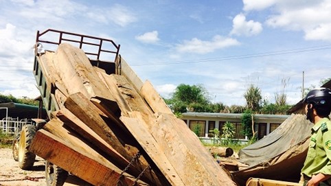 Kon Tum: Xe chở gỗ lậu 