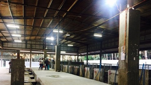 Kon Tum: Lò giết mổ gia súc tập trung “hồi sinh”