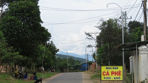 Kon Tum: Xuất hiện kẻ lạ ngang nhiên “ép giá” cà phê, đe dọa phóng viên