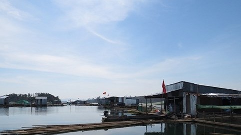 Làng cá giữa “ốc đảo”