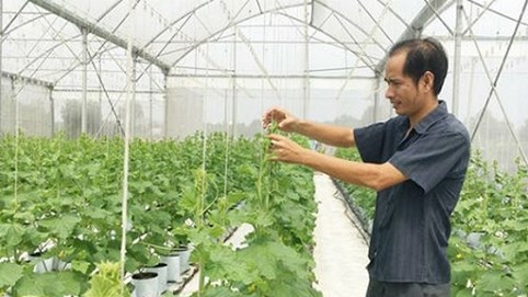 Lo ngại về an toàn thực phẩm dễ bị cường điệu hoá