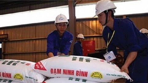 Lộ nguyên do nhà máy Đạm Ninh Bình thua lỗ ngàn tỷ