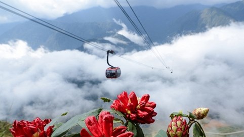 Mách nước chơi thả ga tại Lễ hội hoa đỗ quyên 2017