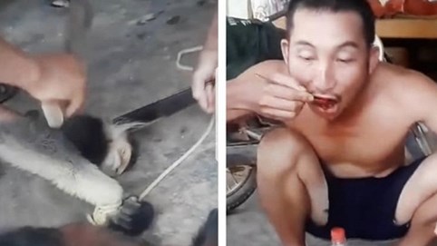 Man rợ những thú vui lột da khỉ, ăn óc sống... rồi khoe mẽ trên mạng