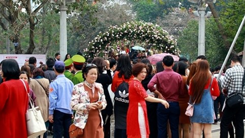 Thất vọng lễ hội hoa hồng